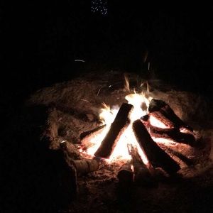 Meet your Posher, Penny